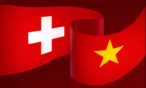 Swiss Precision, Vietnamese Scale: The Augmentation Playbook